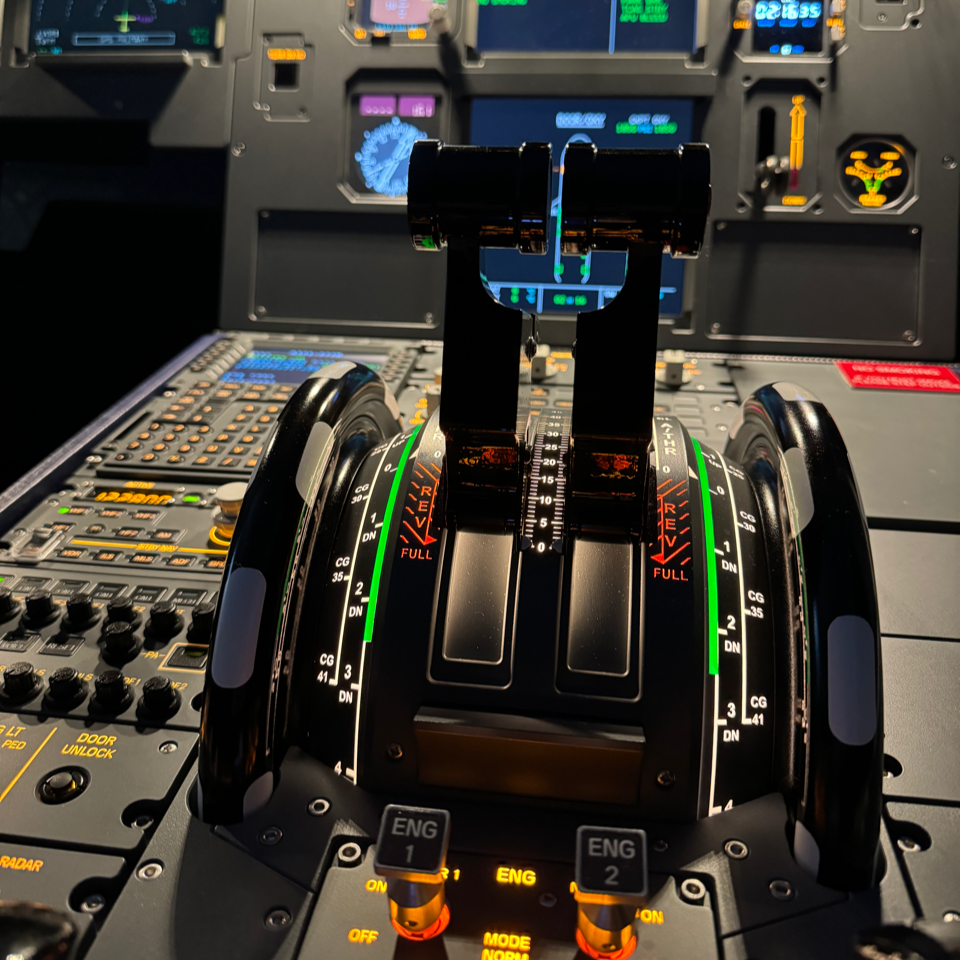 Flight Simulator Consulting